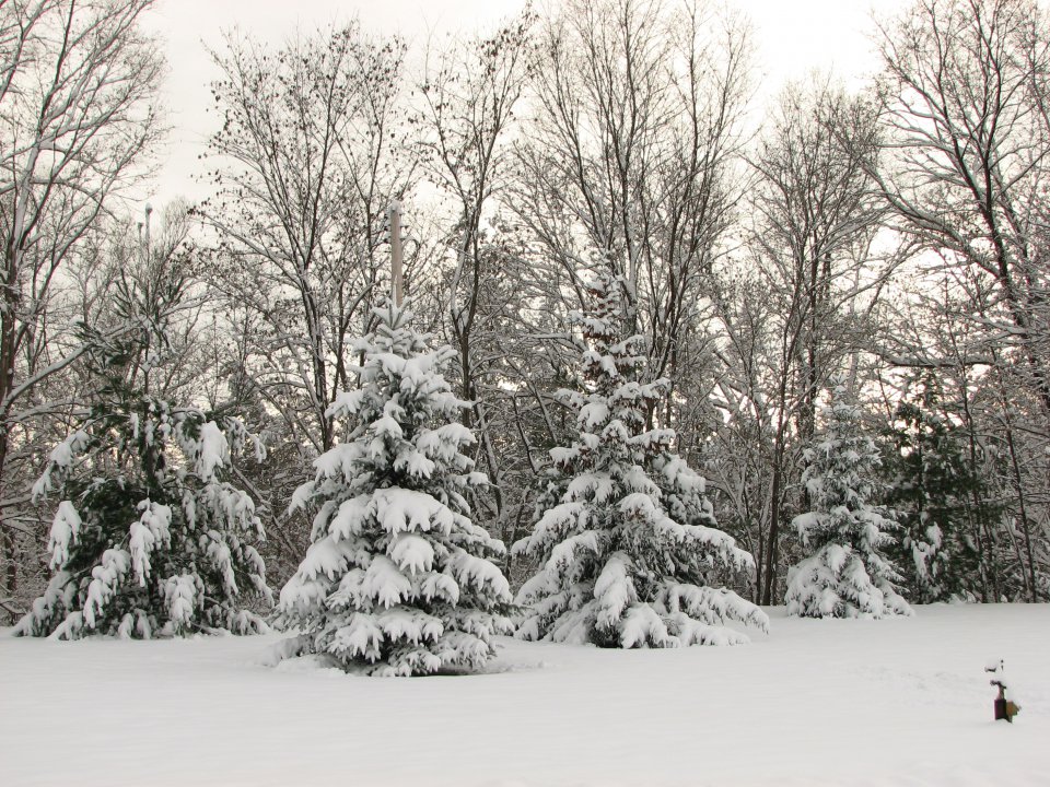 First snow 2006 11-10-06 007.jpg