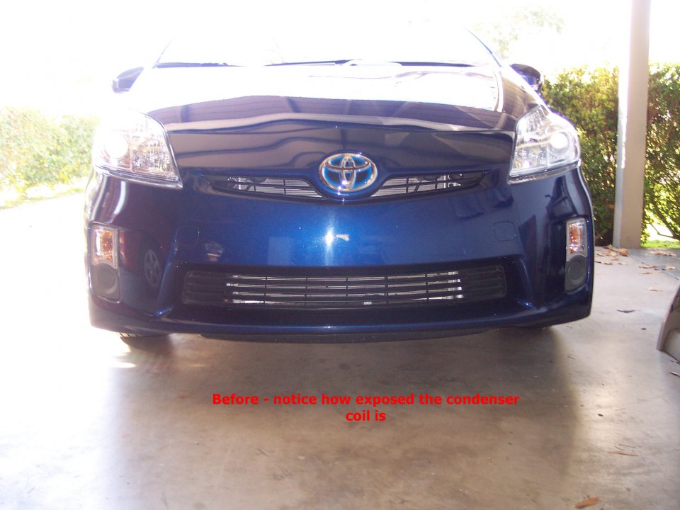 Prius front grill 002.JPG